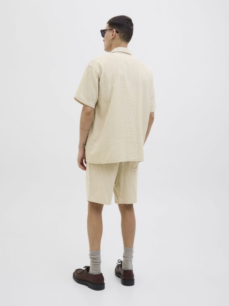  SAFARI