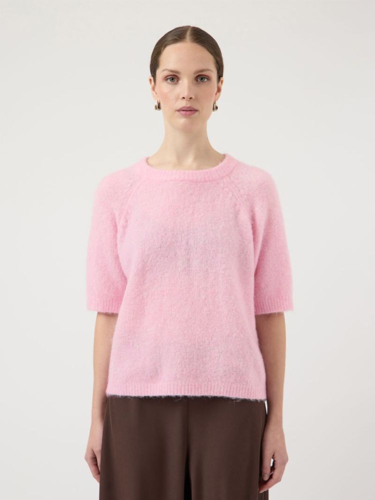 PINK LADY