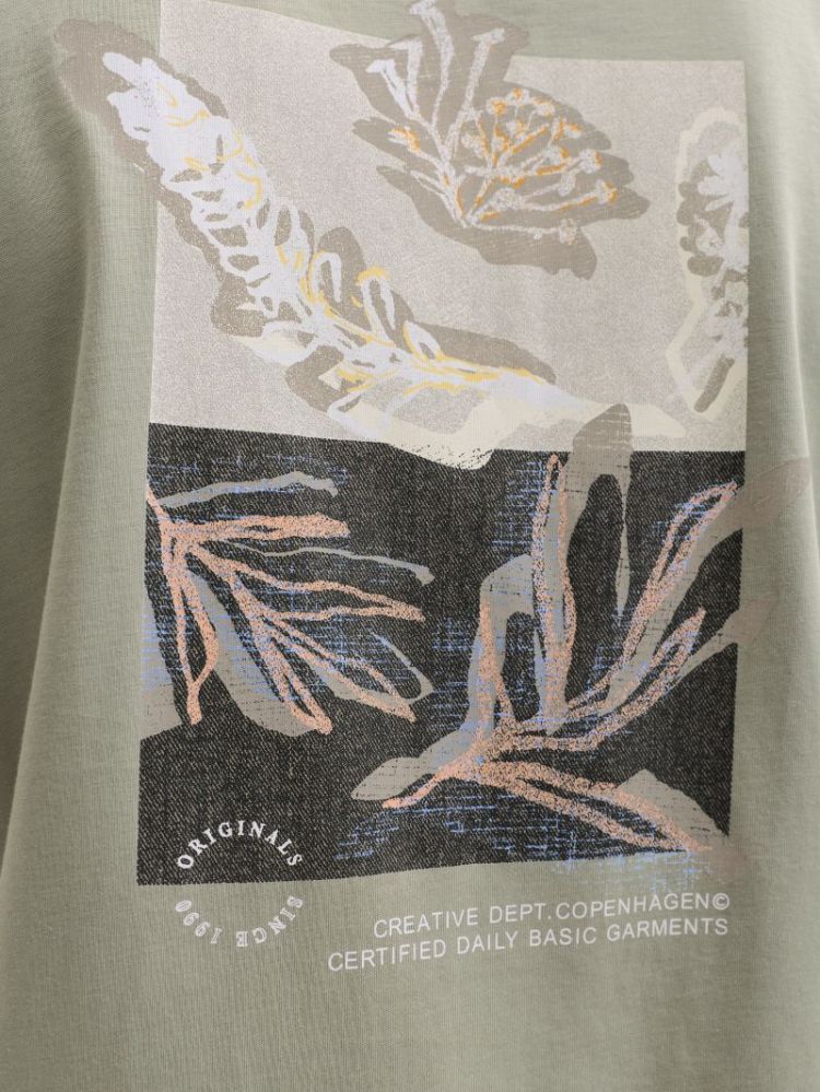  SEAGRASS